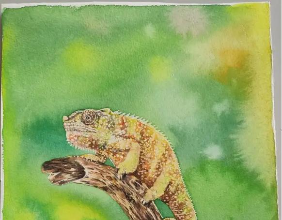 สี gouache สีน้ำมันสีอะคริลิคและสีน้ำมีความแตกต่างกันอย่างไร?